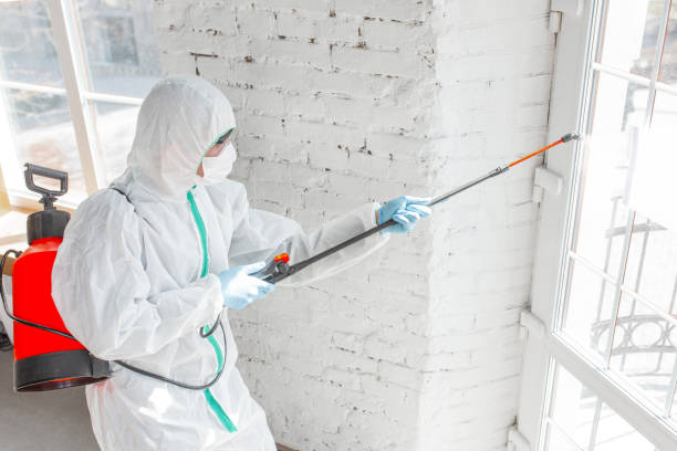 Best Biohazard Mold Removal  in Pinehurst, MA